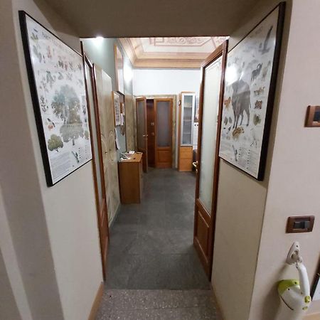 Appartamento Pallavicino Nel Centro Storico Di Κρεμόνα Εξωτερικό φωτογραφία